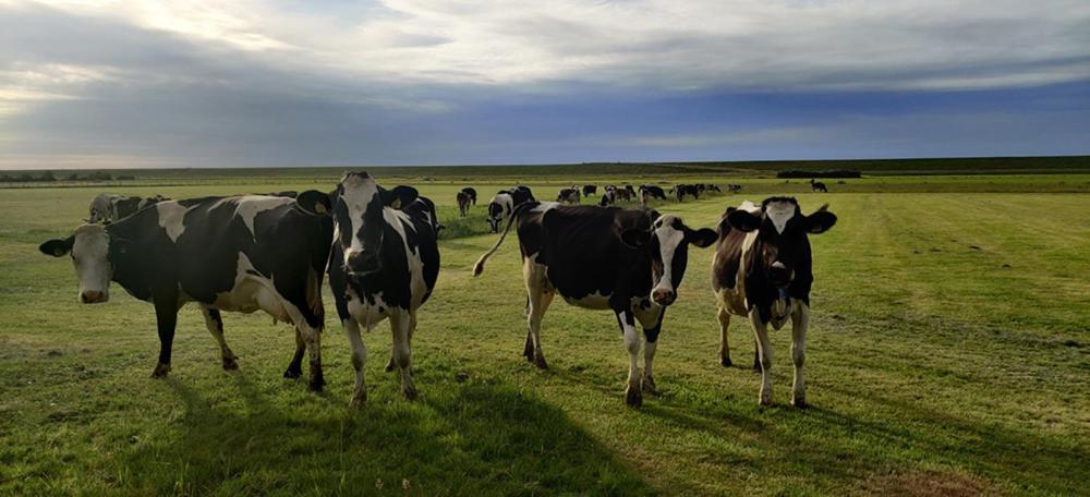 Op Zestien Lägenhet Hippolytushoef Exteriör bild